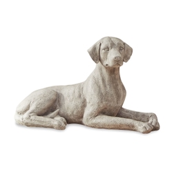 Chien Socrate beige vieilli